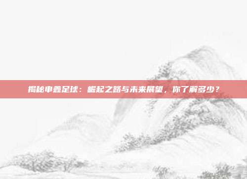 揭秘申鑫足球：崛起之路与未来展望，你了解多少？