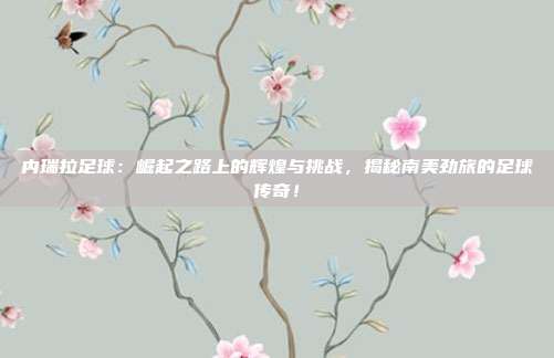 内瑞拉足球：崛起之路上的辉煌与挑战，揭秘南美劲旅的足球传奇！