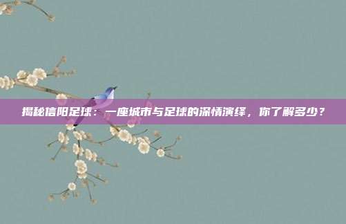 揭秘信阳足球:一座城市与足球的深情演绎,你了解多少?