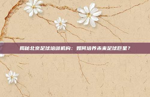 揭秘北京足球培训机构:如何培养未来足球巨星?