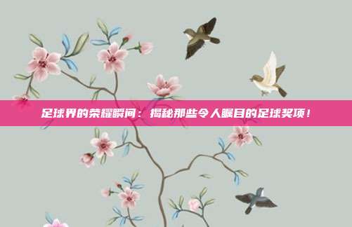 足球界的荣耀瞬间：揭秘那些令人瞩目的足球奖项！