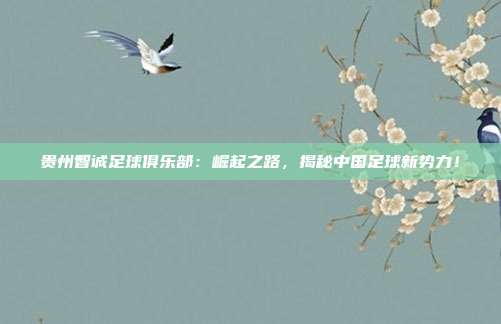 贵州智诚足球俱乐部：崛起之路，揭秘中国足球新势力！