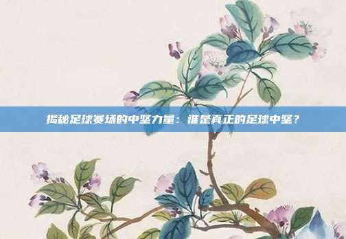 揭秘足球赛场的中坚力量：谁是真正的足球中坚？