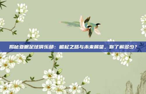 揭秘亚眠足球俱乐部：崛起之路与未来展望，你了解多少？
