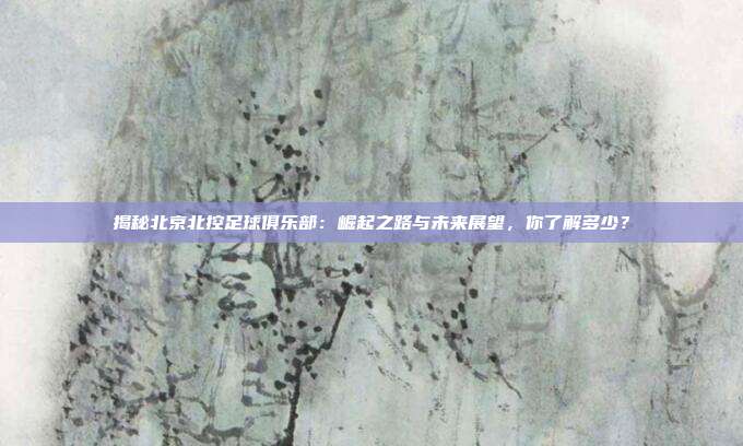 揭秘北京北控足球俱乐部：崛起之路与未来展望，你了解多少？