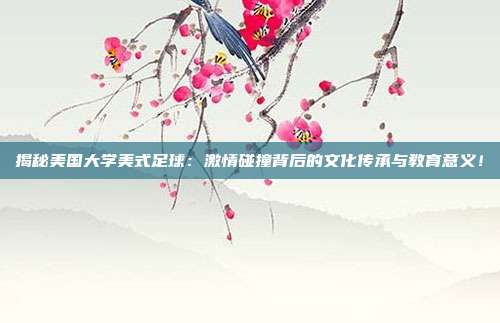 揭秘美国大学美式足球:激情碰撞背后的文化传承与教育意义!