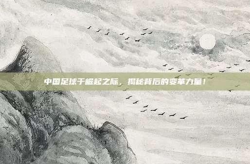 中国足球于崛起之际，揭秘背后的变革力量！