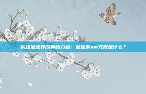 揭秘足球界的神秘力量：足球的am究竟是什么？