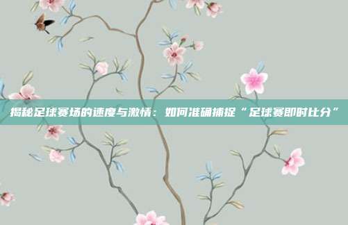 揭秘足球赛场的速度与激情：如何准确捕捉“足球赛即时比分”