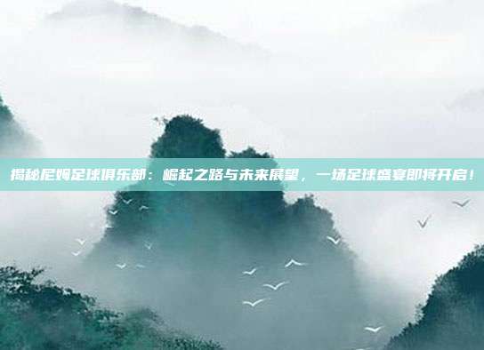揭秘尼姆足球俱乐部:崛起之路与未来展望,一场足球盛宴即将开启!