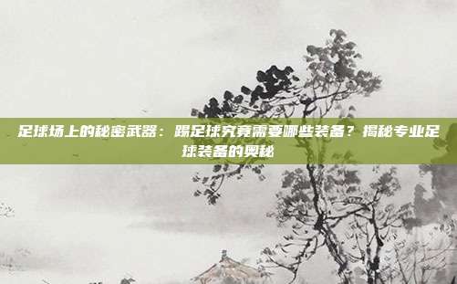 足球场上的秘密武器：踢足球究竟需要哪些装备？揭秘专业足球装备的奥秘