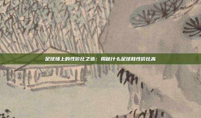 足球场上的性价比之选：揭秘什么足球鞋性价比高
