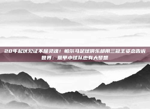20年起伏见证不屈灵魂！帕尔马足球俱乐部用三冠王姿态告诉世界：意甲小球队也有大梦想