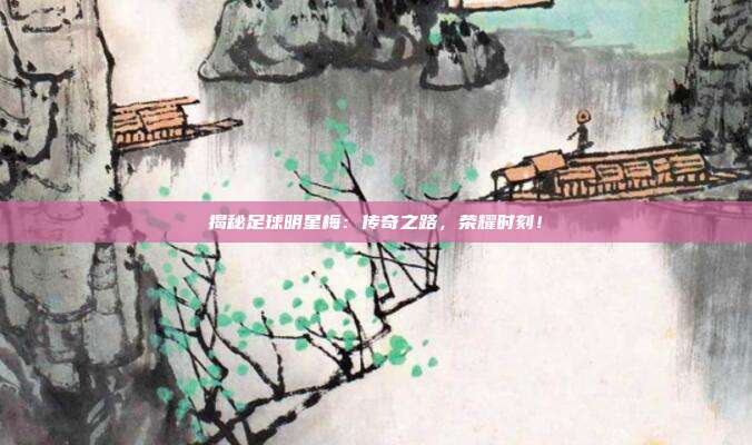 揭秘足球明星梅:传奇之路,荣耀时刻!