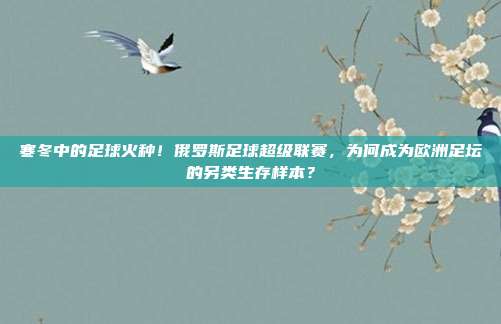 寒冬中的足球火种！俄罗斯足球超级联赛，为何成为欧洲足坛的另类生存样本？