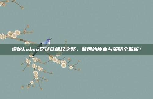 揭秘kelme足球队崛起之路：背后的故事与策略全解析！