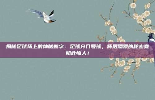 揭秘足球场上的神秘数字:足球分几号球,背后隐藏的秘密竟如此惊人!