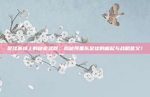 足球赛场上的秘密武器：揭秘预备队足球的崛起与战略意义！
