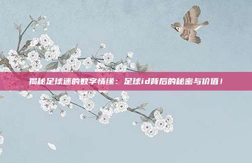 揭秘足球迷的数字情缘：足球id背后的秘密与价值！