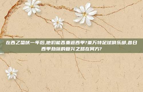 在西乙蛰伏一年后,他们能否重返西甲?莱万特足球俱乐部,昔日西甲劲旅的复兴之路在何方?