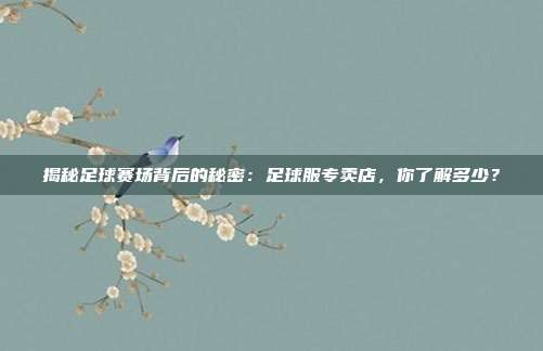 揭秘足球赛场背后的秘密：足球服专卖店，你了解多少？