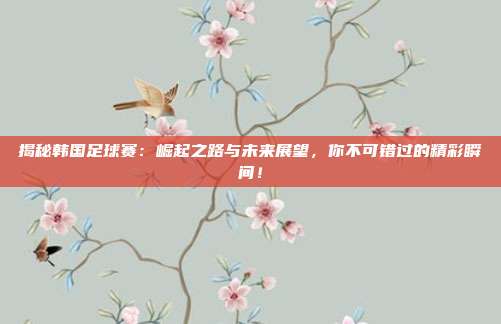 揭秘韩国足球赛:崛起之路与未来展望,你不可错过的精彩瞬间!