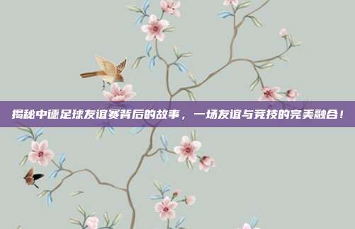 揭秘中德足球友谊赛背后的故事,一场友谊与竞技的完美融合!