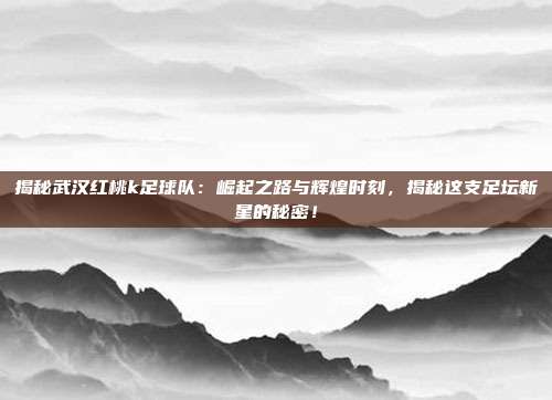 揭秘武汉红桃k足球队：崛起之路与辉煌时刻，揭秘这支足坛新星的秘密！