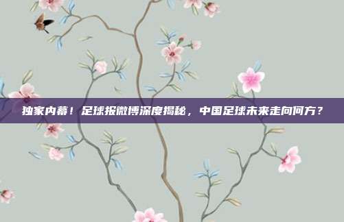 独家内幕！足球报微博深度揭秘，中国足球未来走向何方？