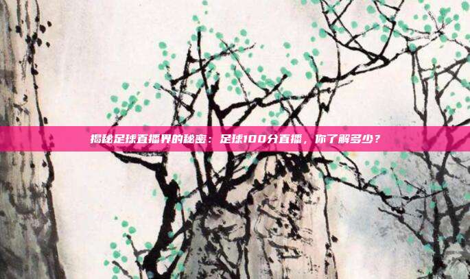 揭秘足球直播界的秘密：足球100分直播，你了解多少？