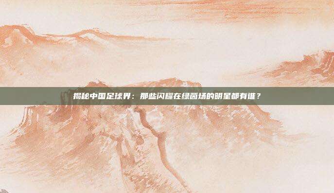 揭秘中国足球界：那些闪耀在绿茵场的明星都有谁？