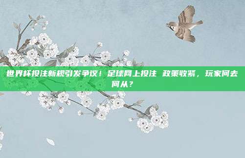 世界杯投注新规引发争议！足球网上投注 政策收紧，玩家何去何从？