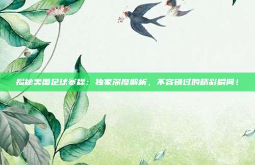 揭秘美国足球赛程：独家深度解析，不容错过的精彩瞬间！