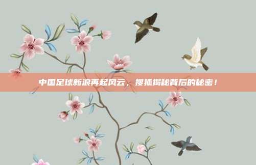 中国足球新浪再起风云，搜狐揭秘背后的秘密！