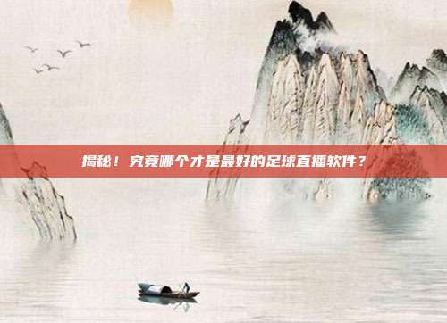 揭秘！究竟哪个才是最好的足球直播软件？