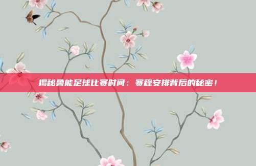揭秘鲁能足球比赛时间：赛程安排背后的秘密！