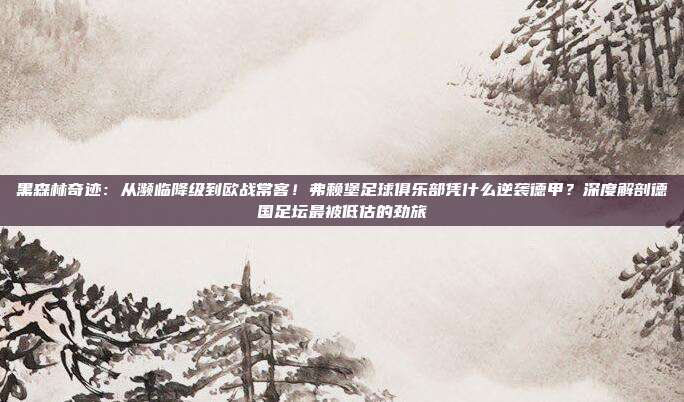 黑森林奇迹：从濒临降级到欧战常客！弗赖堡足球俱乐部凭什么逆袭德甲？深度解剖德国足坛最被低估的劲旅