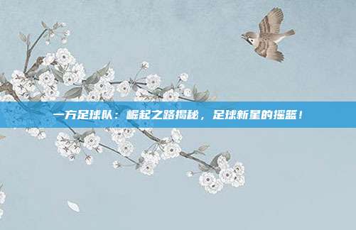 一方足球队：崛起之路揭秘，足球新星的摇篮！