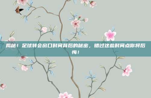 揭秘！足球转会窗口时间背后的秘密，错过这些时间点你将后悔！