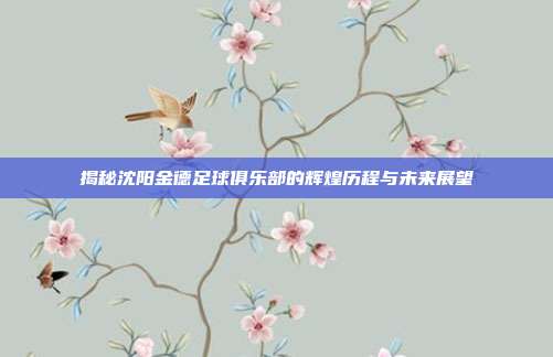 揭秘沈阳金德足球俱乐部的辉煌历程与未来展望