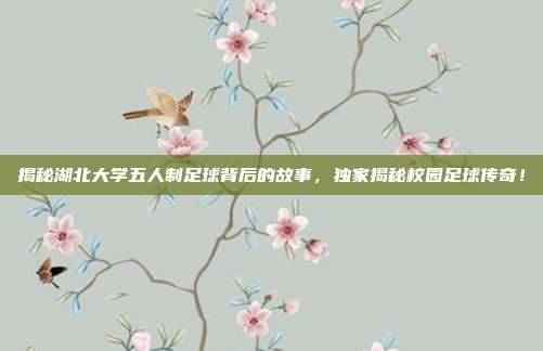 揭秘湖北大学五人制足球背后的故事，独家揭秘校园足球传奇！