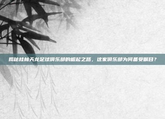揭秘桂林天龙足球俱乐部的崛起之路，这家俱乐部为何备受瞩目？