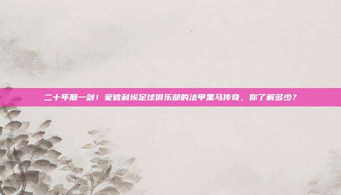 二十年磨一剑！蒙彼利埃足球俱乐部的法甲黑马传奇，你了解多少？
