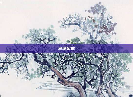 罗德足球