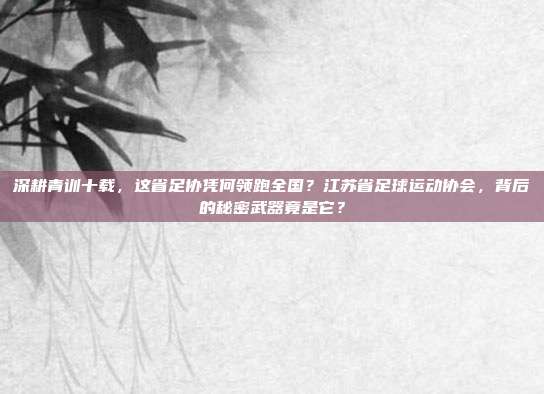 深耕青训十载，这省足协凭何领跑全国？江苏省足球运动协会，背后的秘密武器竟是它？