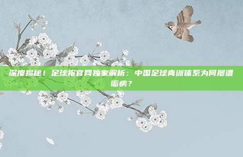 深度揭秘！足球报官网独家解析：中国足球青训体系为何屡遭诟病？