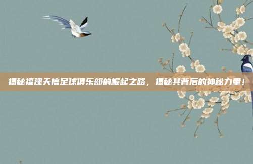揭秘福建天信足球俱乐部的崛起之路，揭秘其背后的神秘力量！