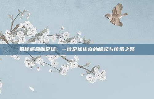 揭秘杨昌鹏足球：一位足球传奇的崛起与传承之路