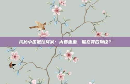 揭秘中国足球窝案：内幕重重，谁在背后操控？