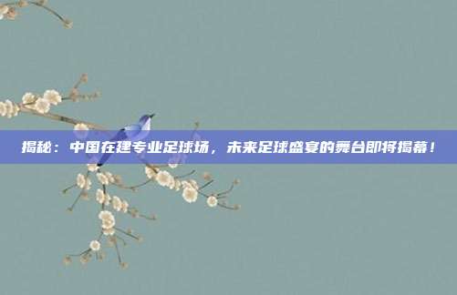 揭秘：中国在建专业足球场，未来足球盛宴的舞台即将揭幕！